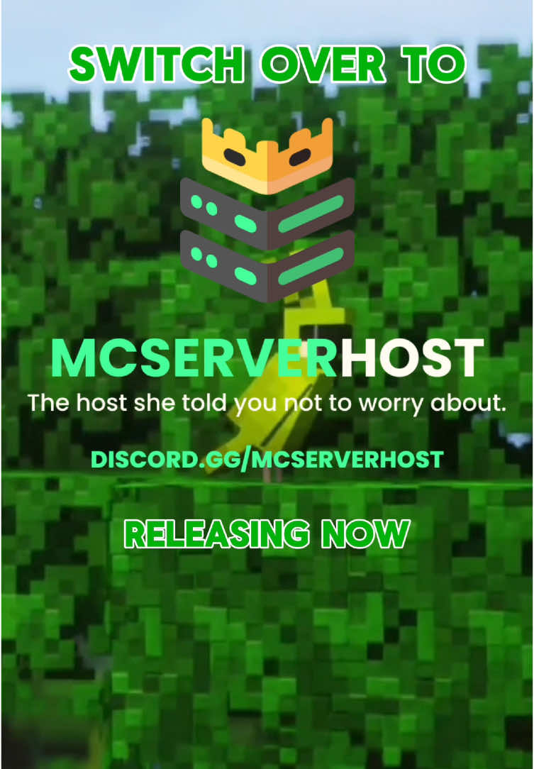 @MCServerHost