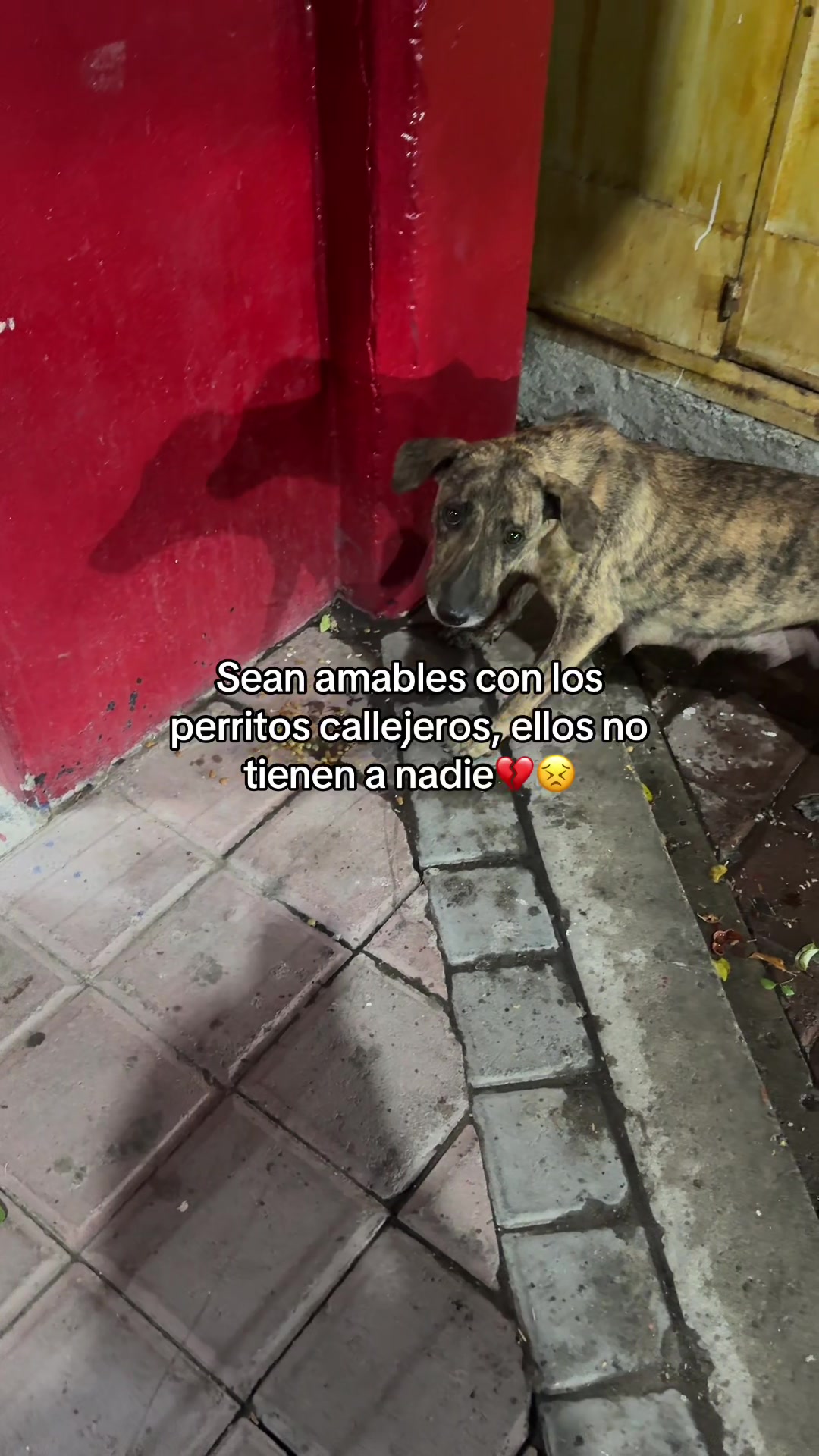 @Chica🇲🇽