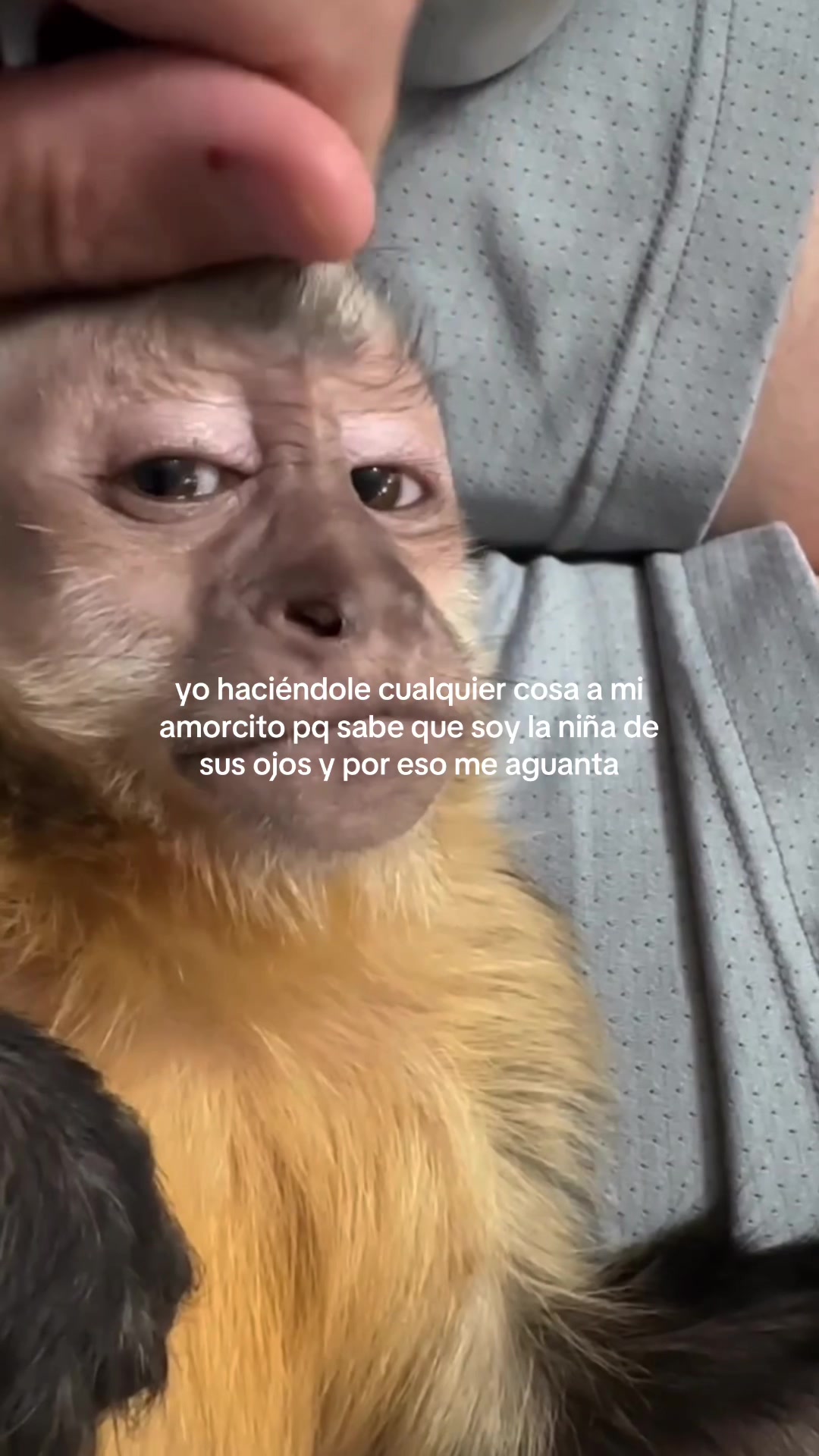 @daismined