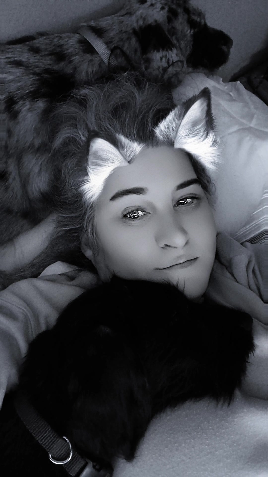 @[HOA] BADBUNNY4YOU