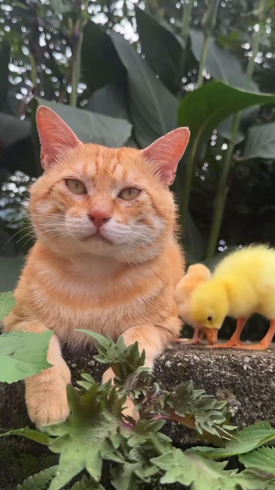 @My Daily Dose of Aww
