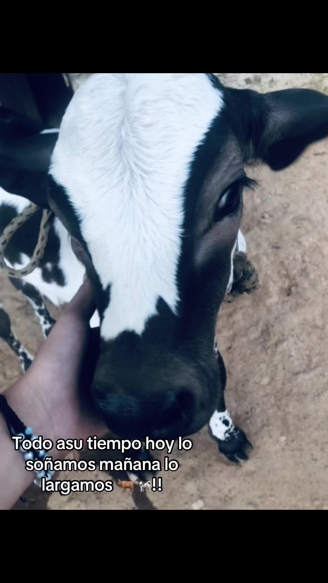 @Leidy ๐.