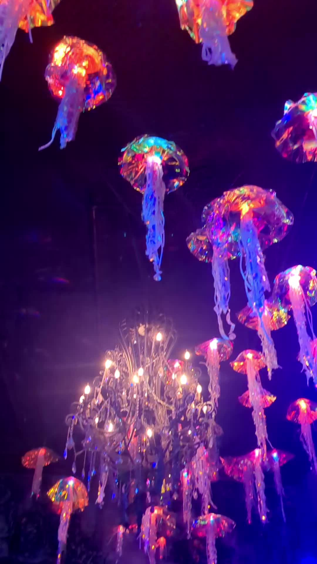 @Dive Bar Mermaids