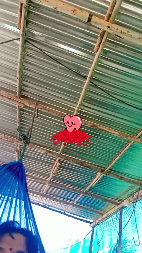 @Ritika singh