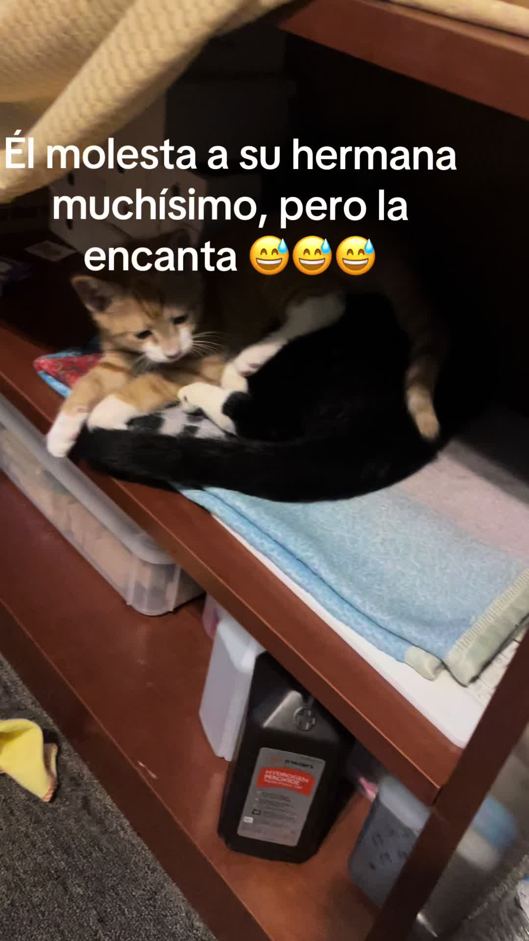@valelamexicana16
