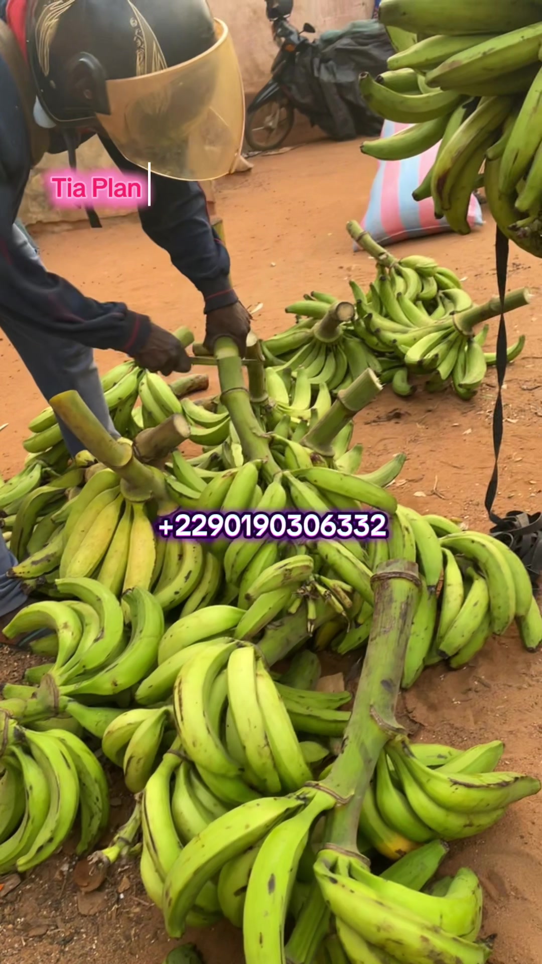 @tia.plantains