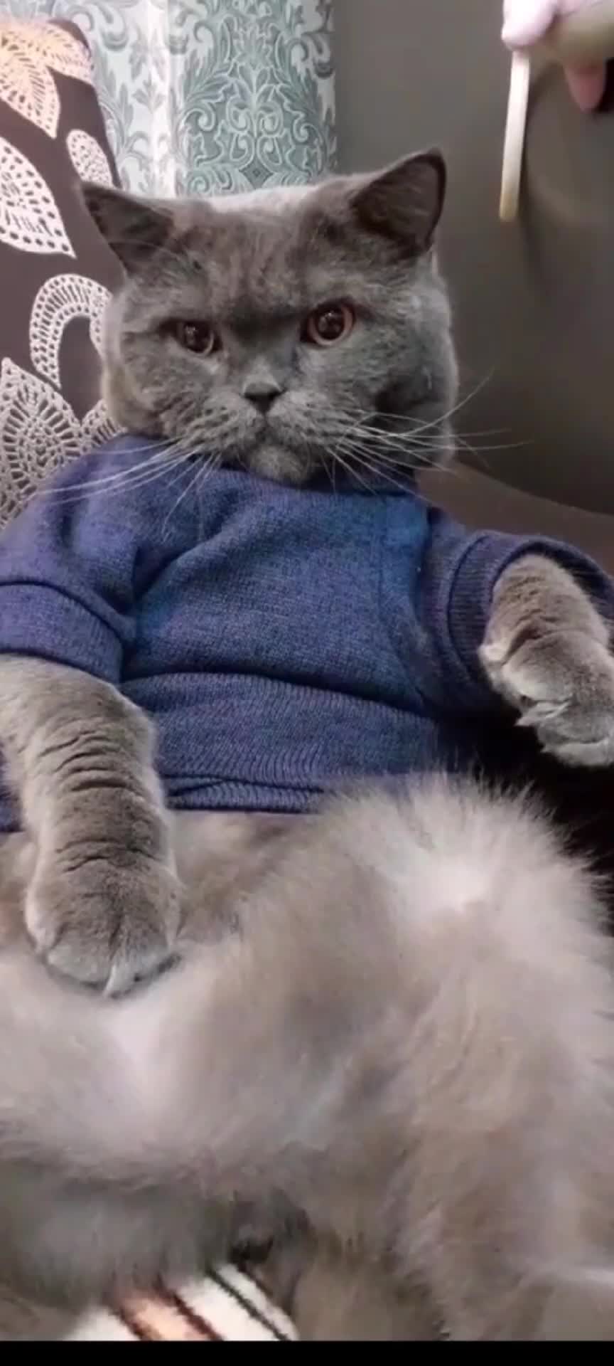 @Жанночка