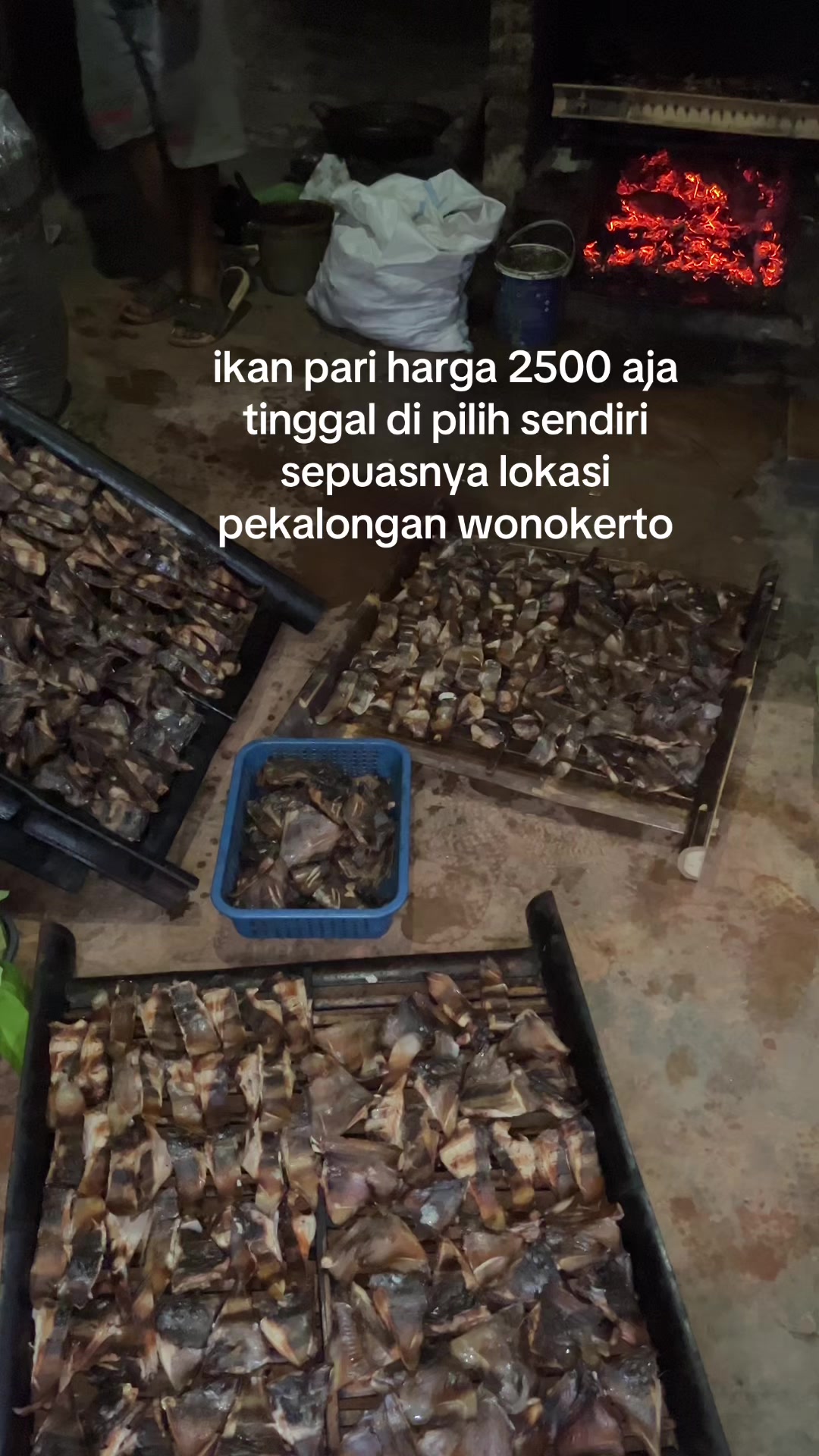 @Um. ikan