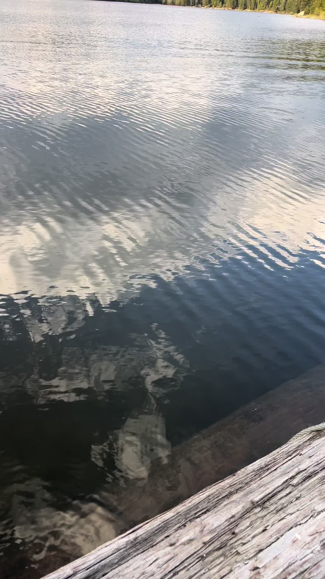 @⃟