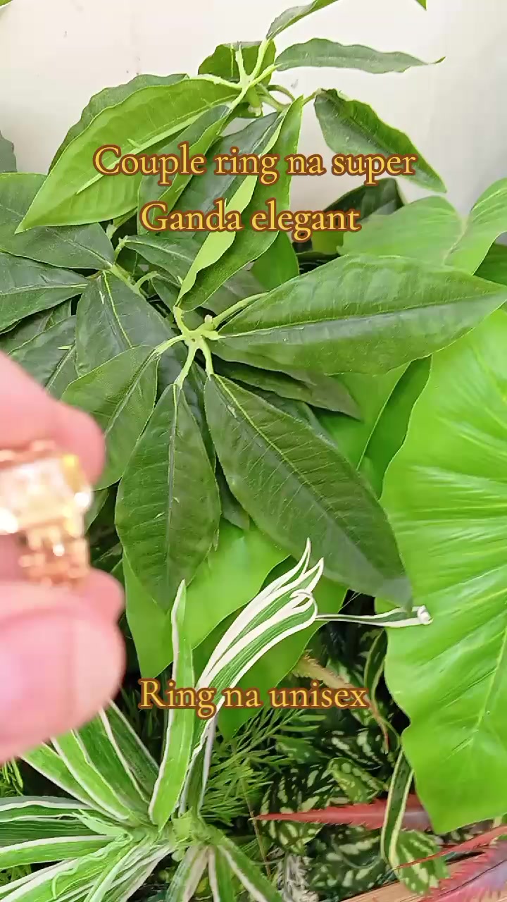 @_edwin