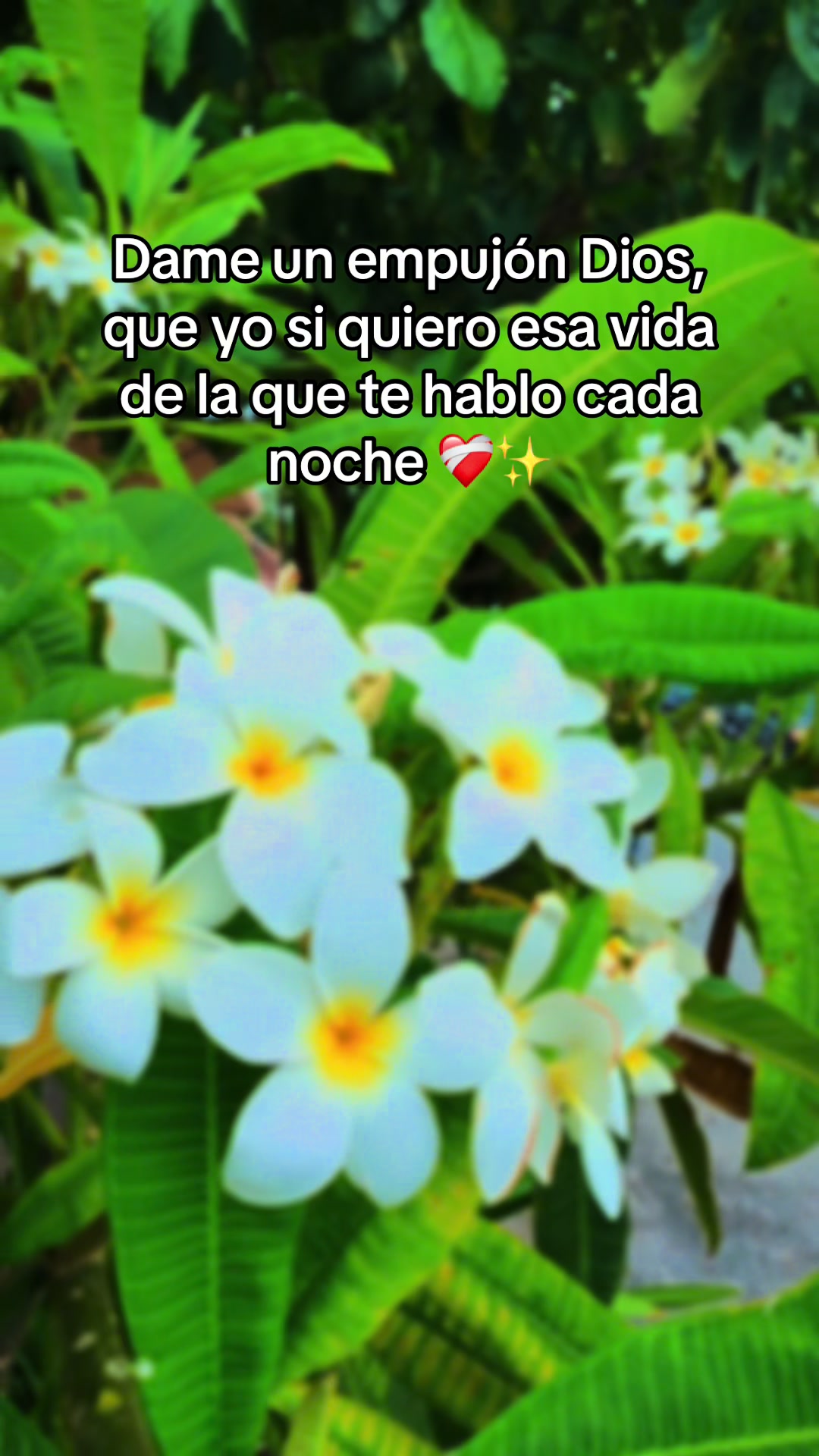 @La Maestra Tania ✨️🪐🚀