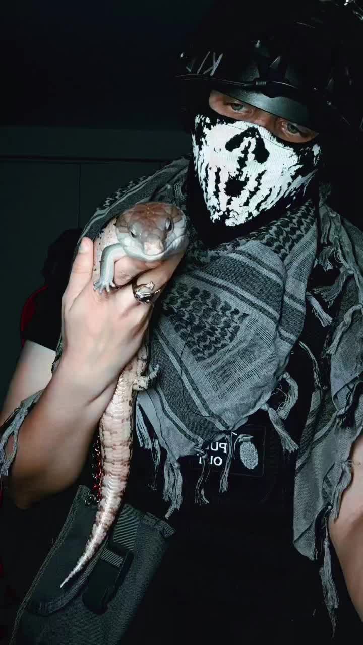 @KingKönig