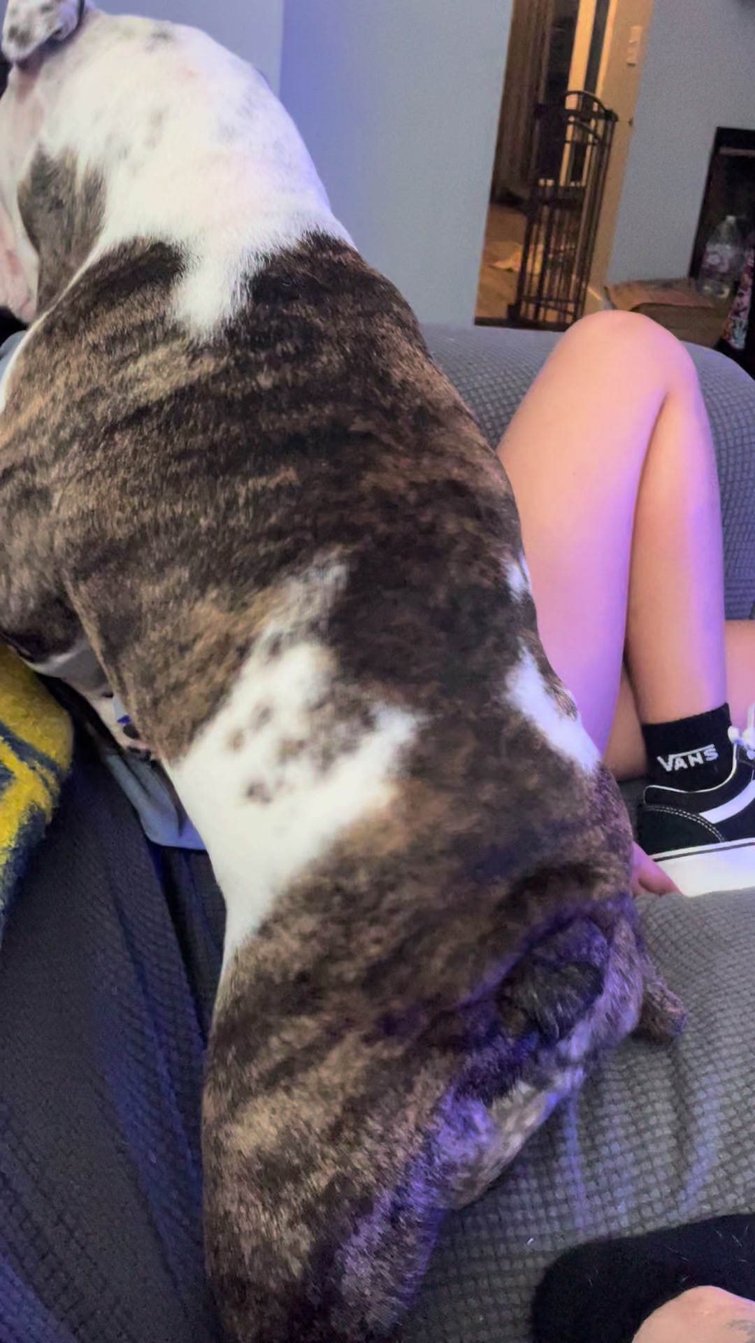 @nalathebulldog20