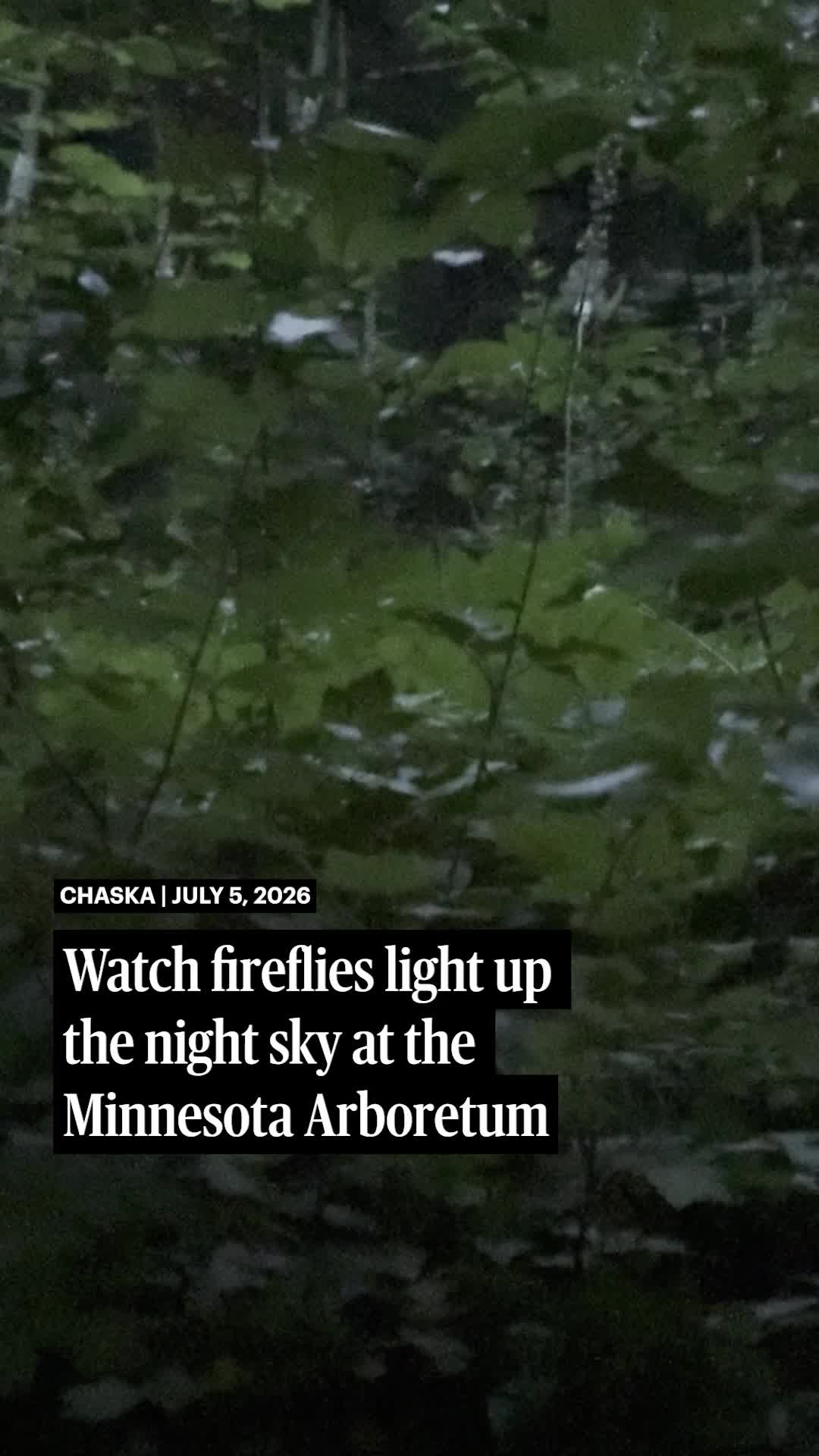 @Minnesota Star Tribune