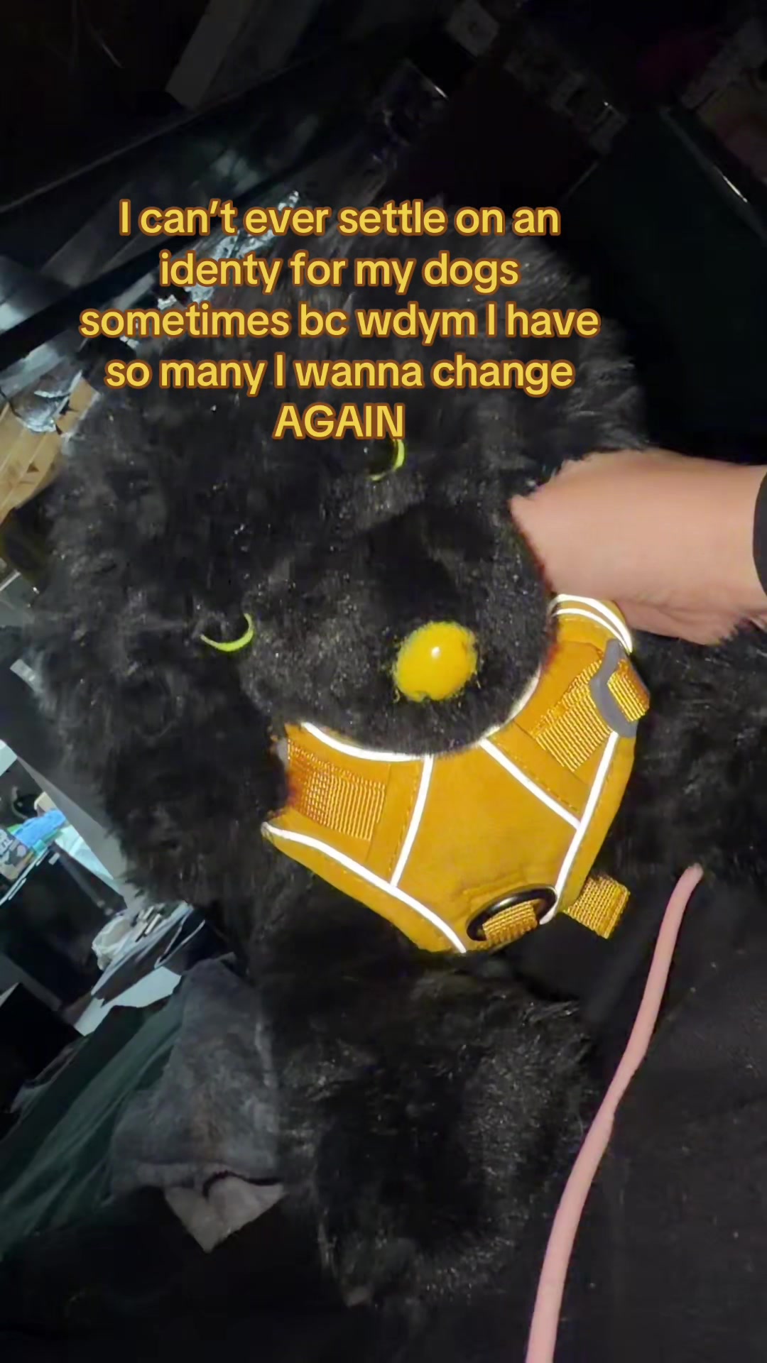 @Kaiden