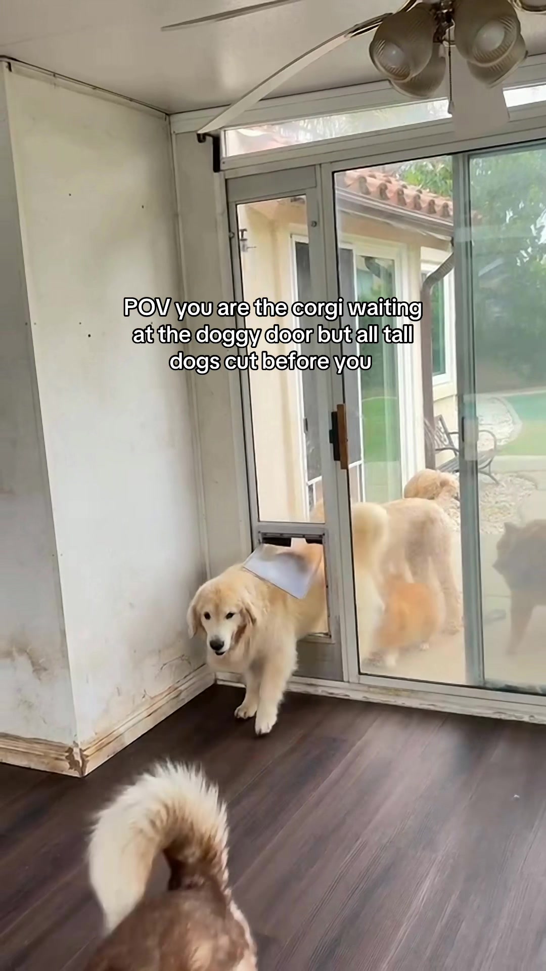 @Maui, Ruby +Hugo