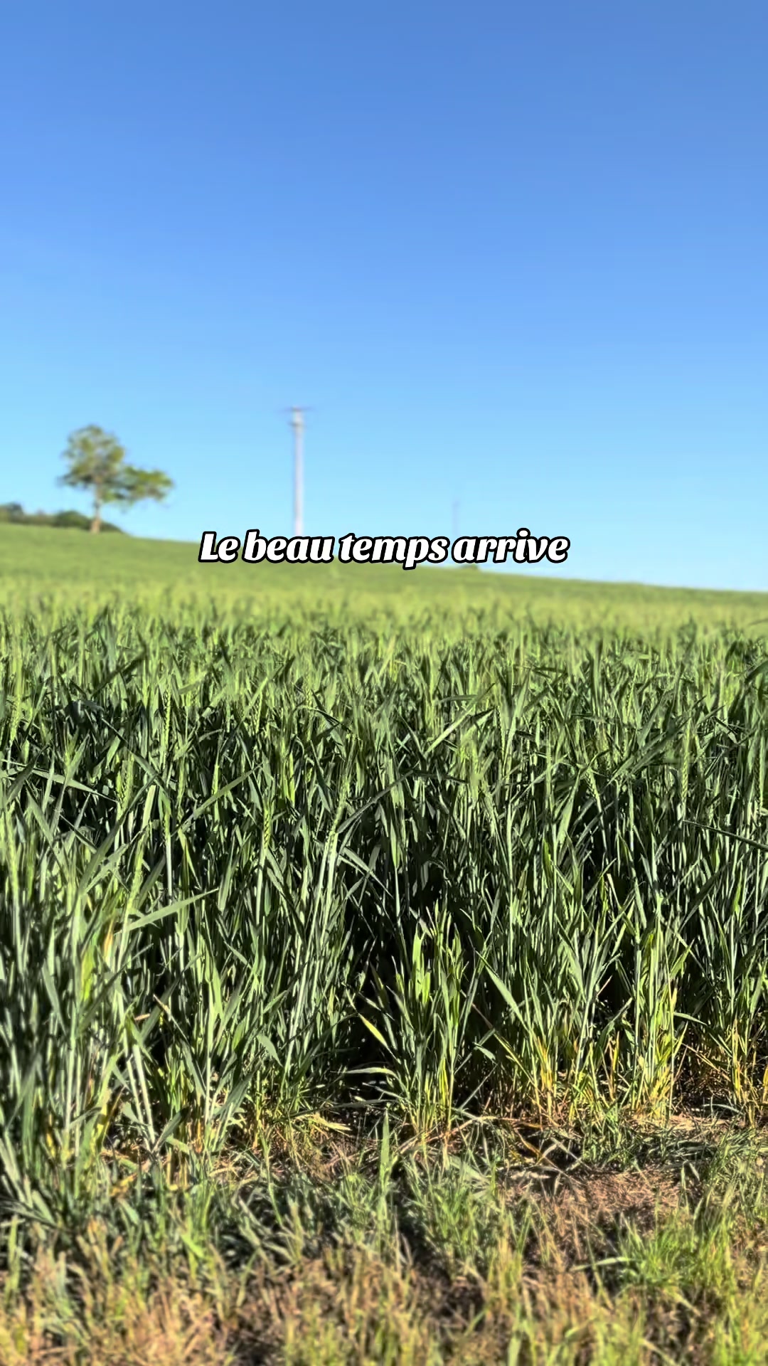 @SarAgri 🌿🌾