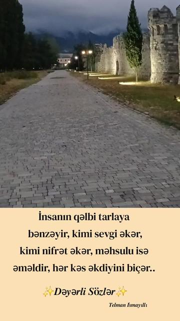 @𝑻𝒆𝒍𝒎𝒂𝒏 𝑰𝒔𝒎𝒂𝒚𝜾llı✨️