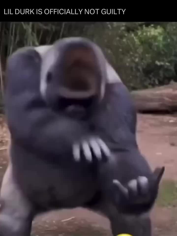 @KillaMoe