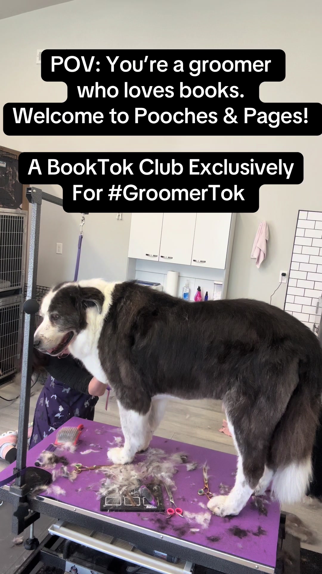 @JGlow 📚 | Glow Up Grooming 🐩