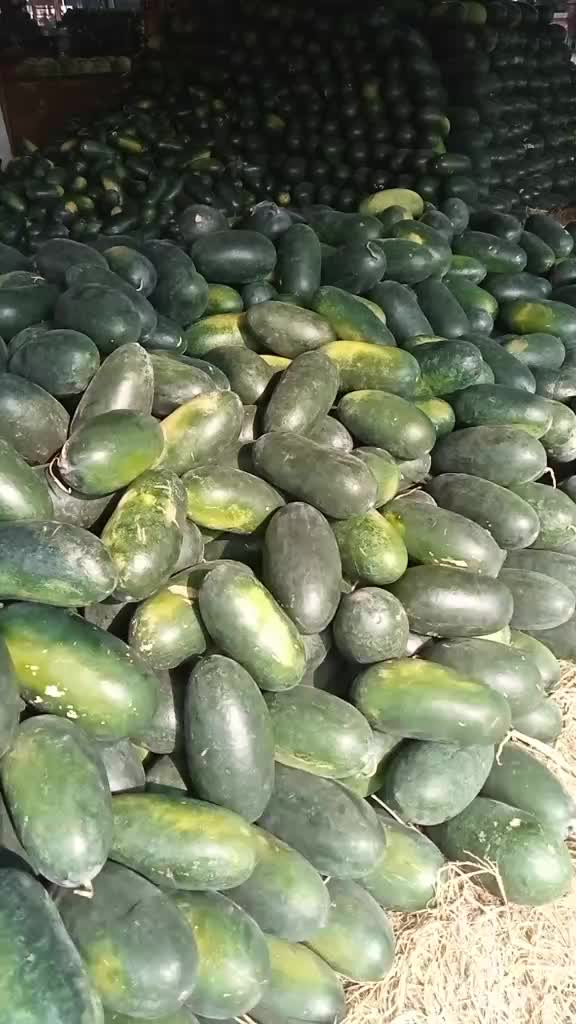 @koswara20@#
