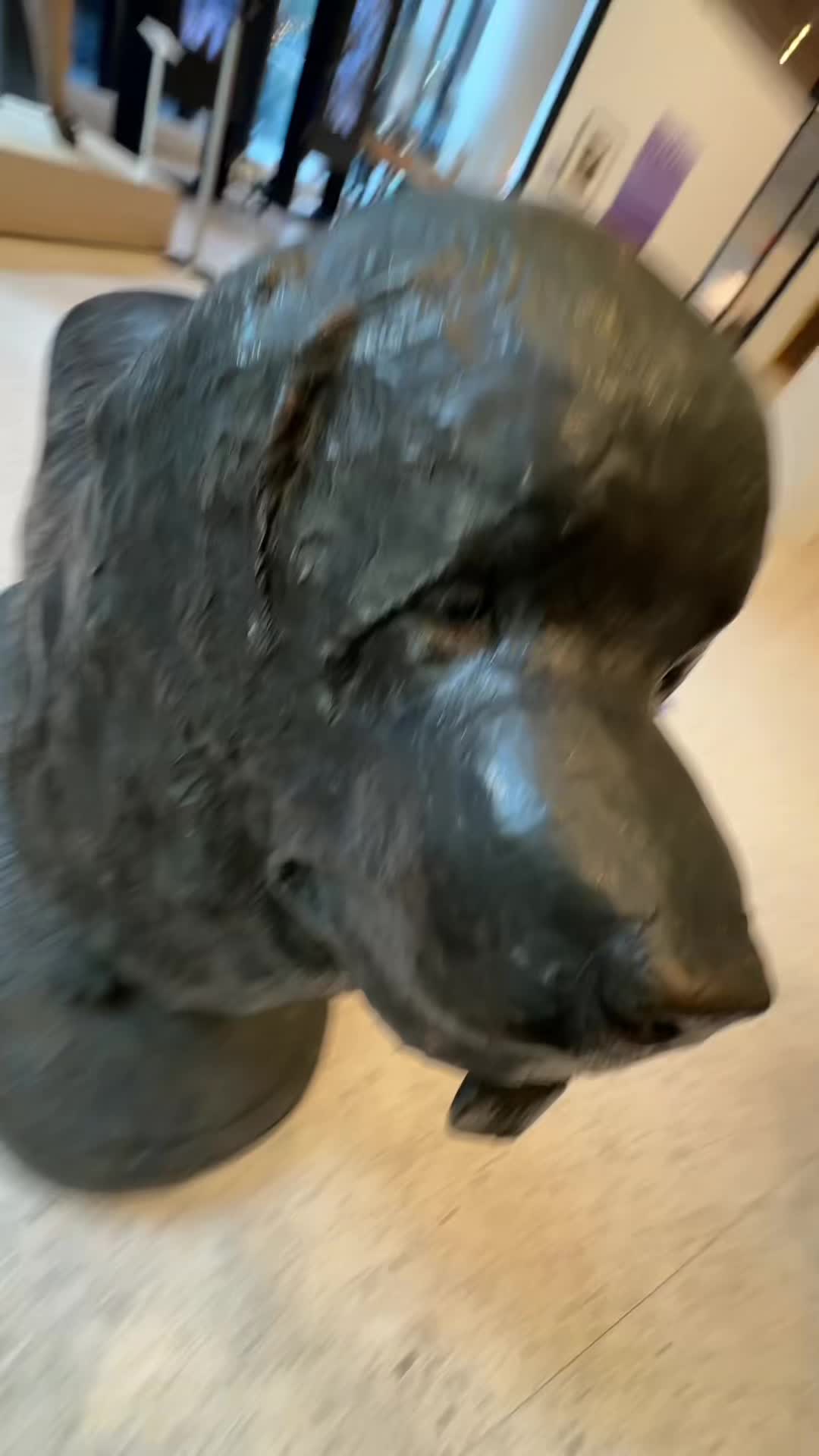 @AKC Museum of the Dog