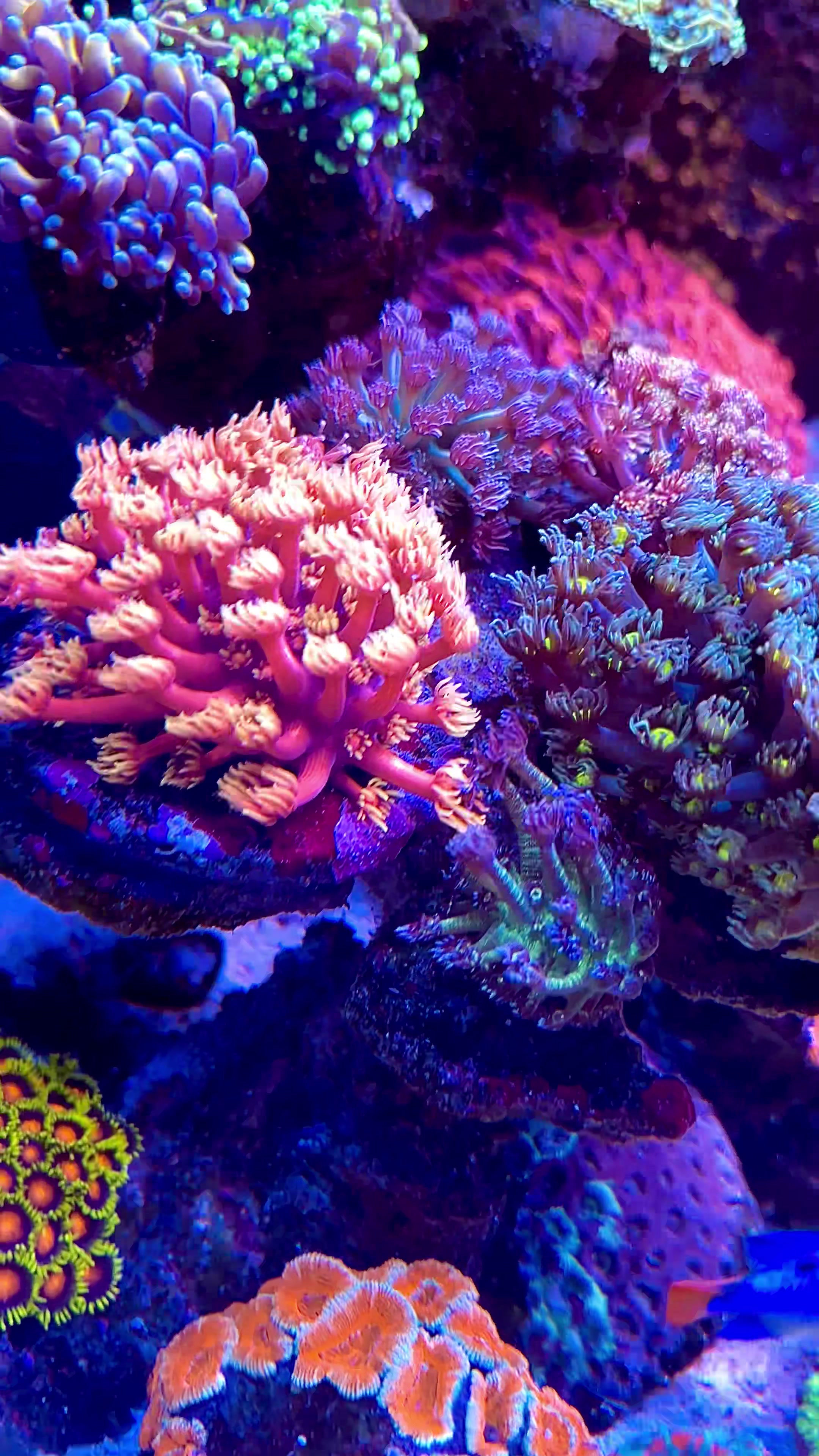 @SaltWaterShane