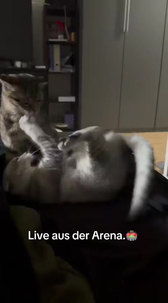 @Divaurteilt