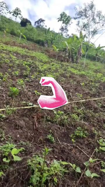 @Rosa Simbaina