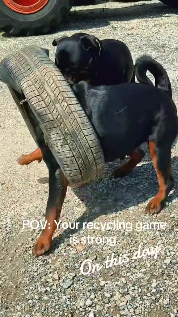 @Buckeyerotts