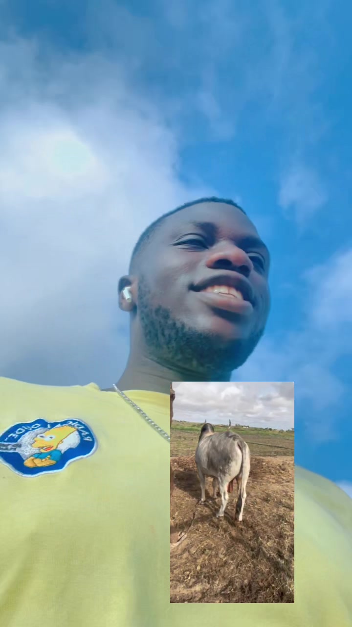 @Weuz🐄&Eacute;leveur saint Louis ❤️