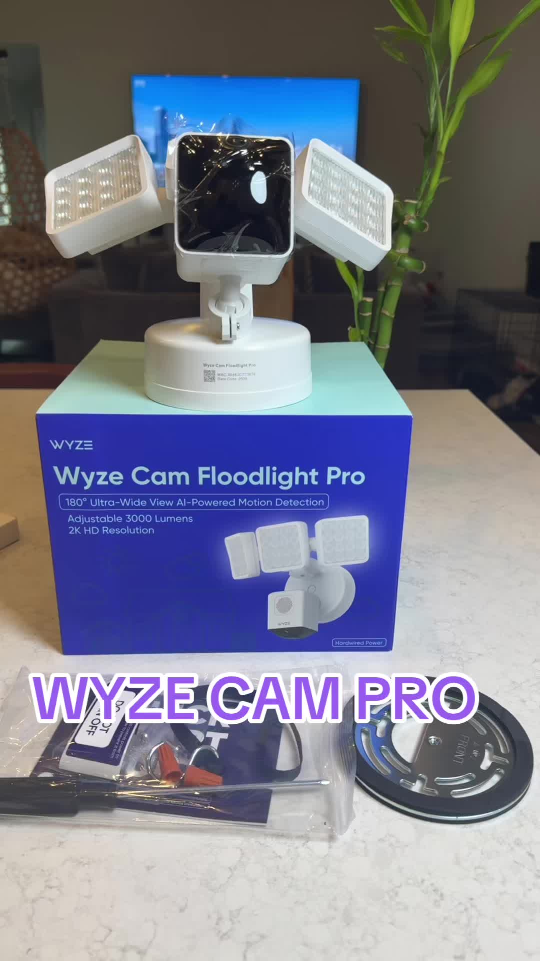 @swipedeals77