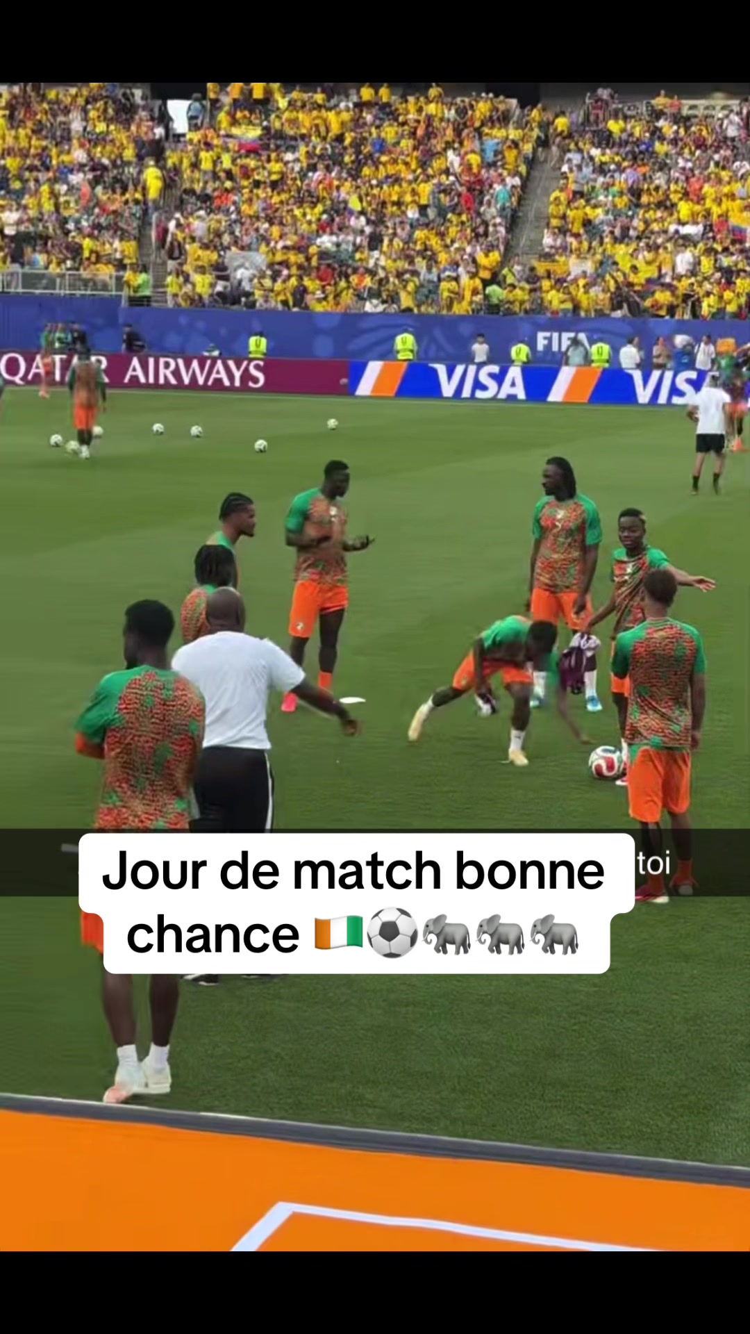 @📸LOGBOOO M&Eacute;DIA 🎥