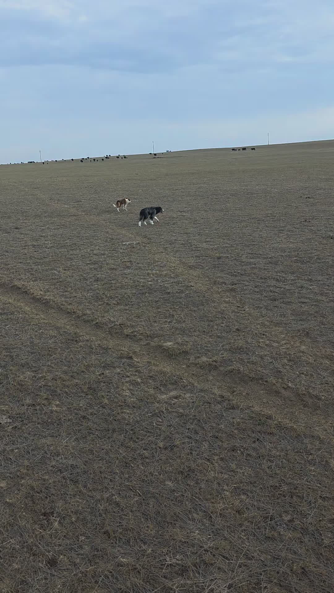@wyomingrancher