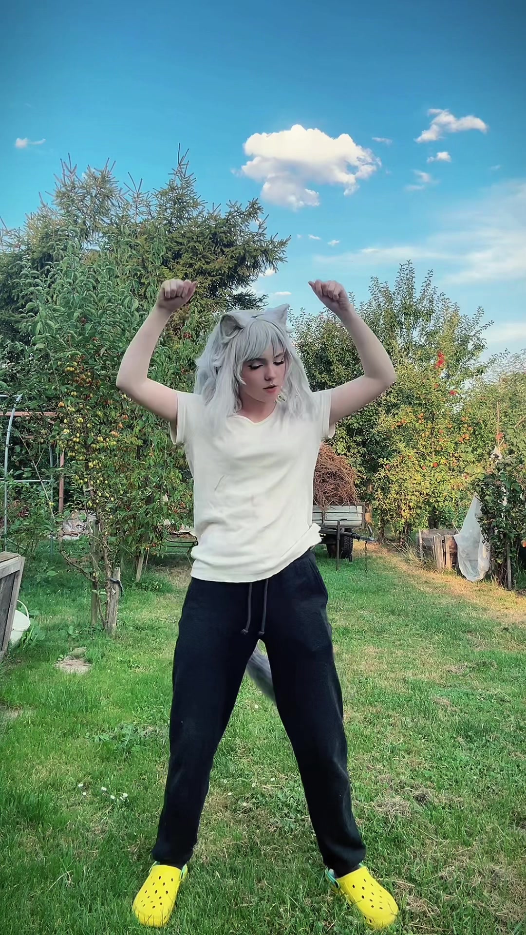 @niaruko_chan