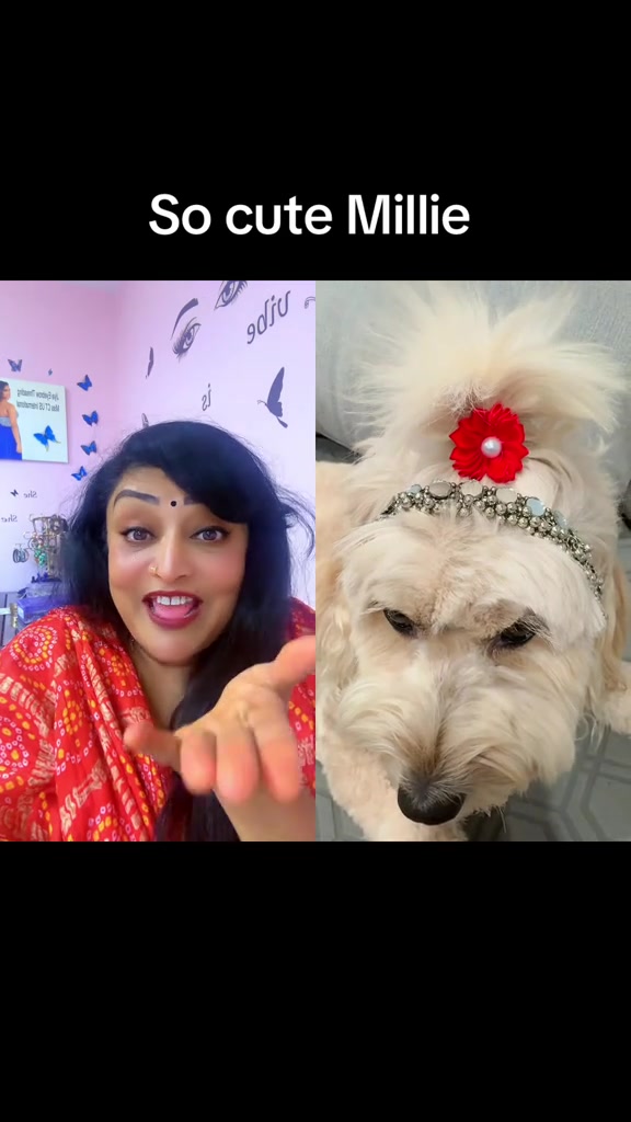 @ruchizala3