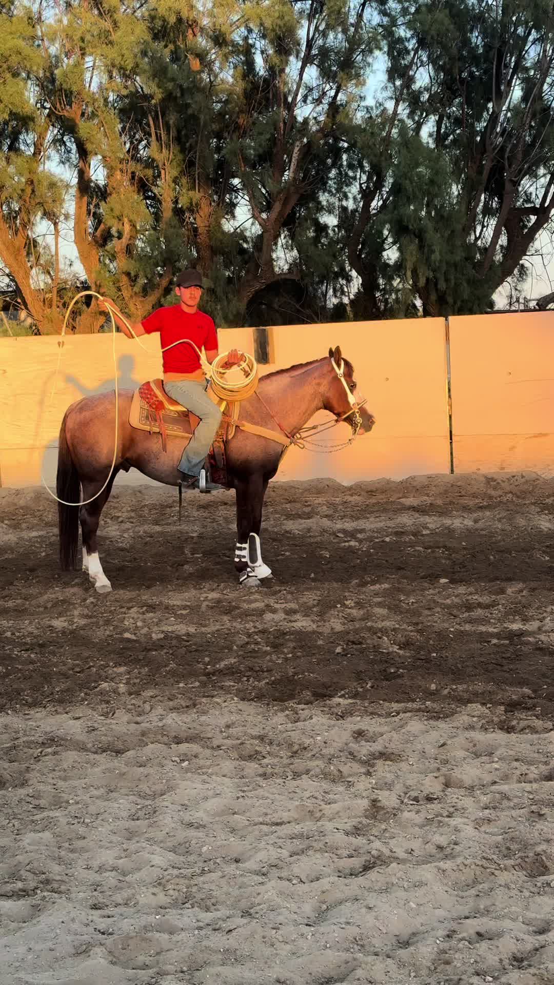 @Aureliano_ibarra21