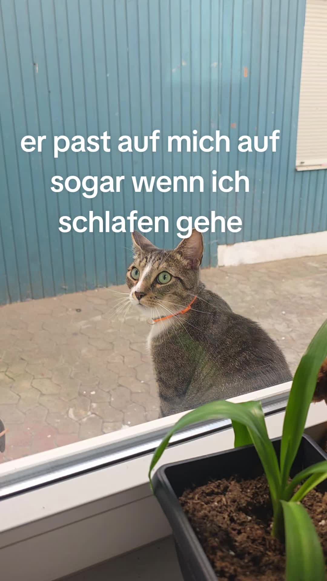 @zottel_maus123
