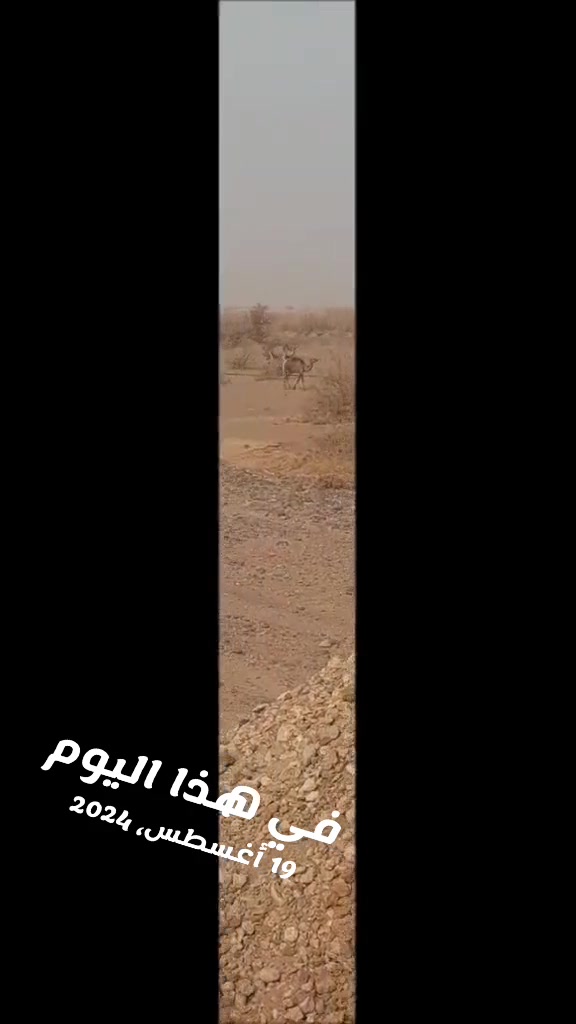 @Mohamed
