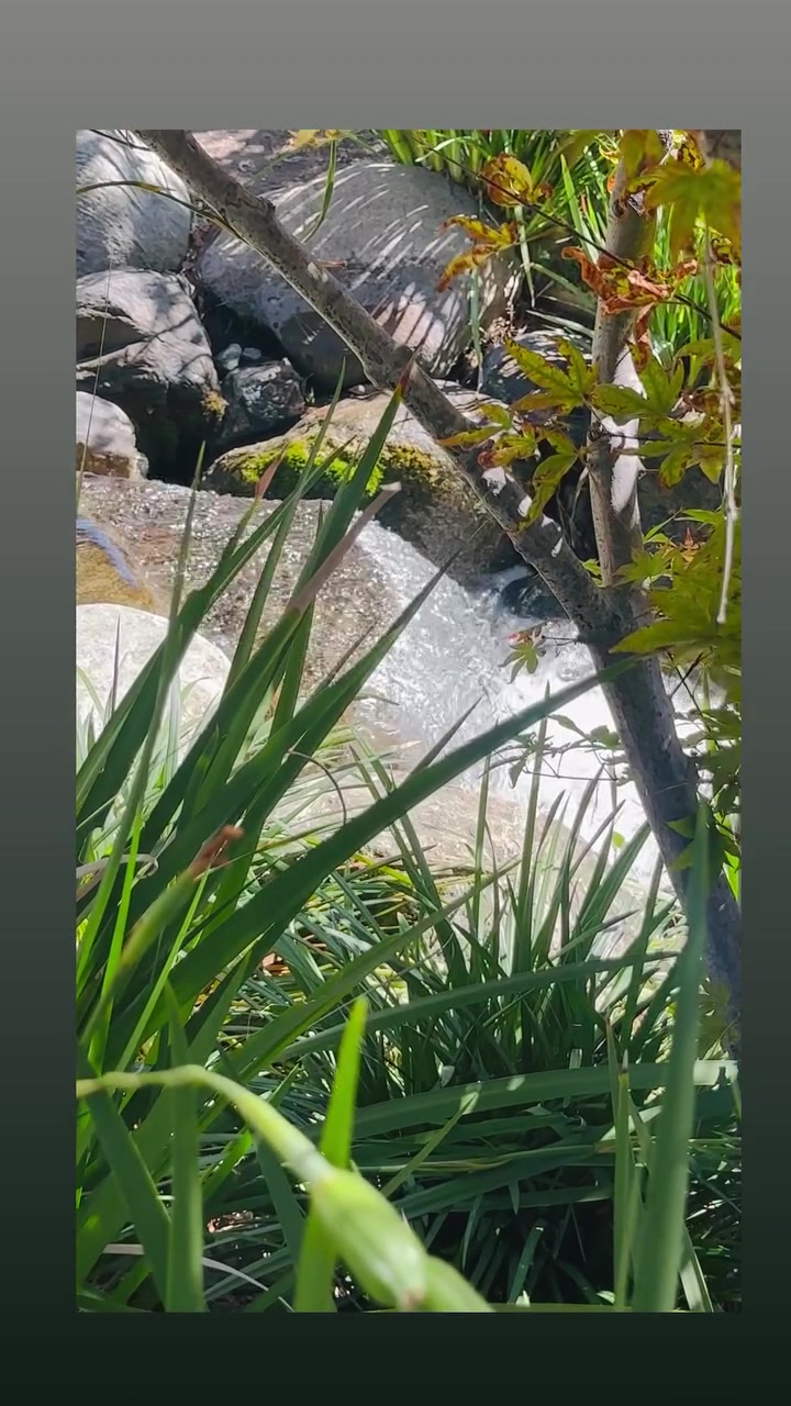 @The Lost Gardens