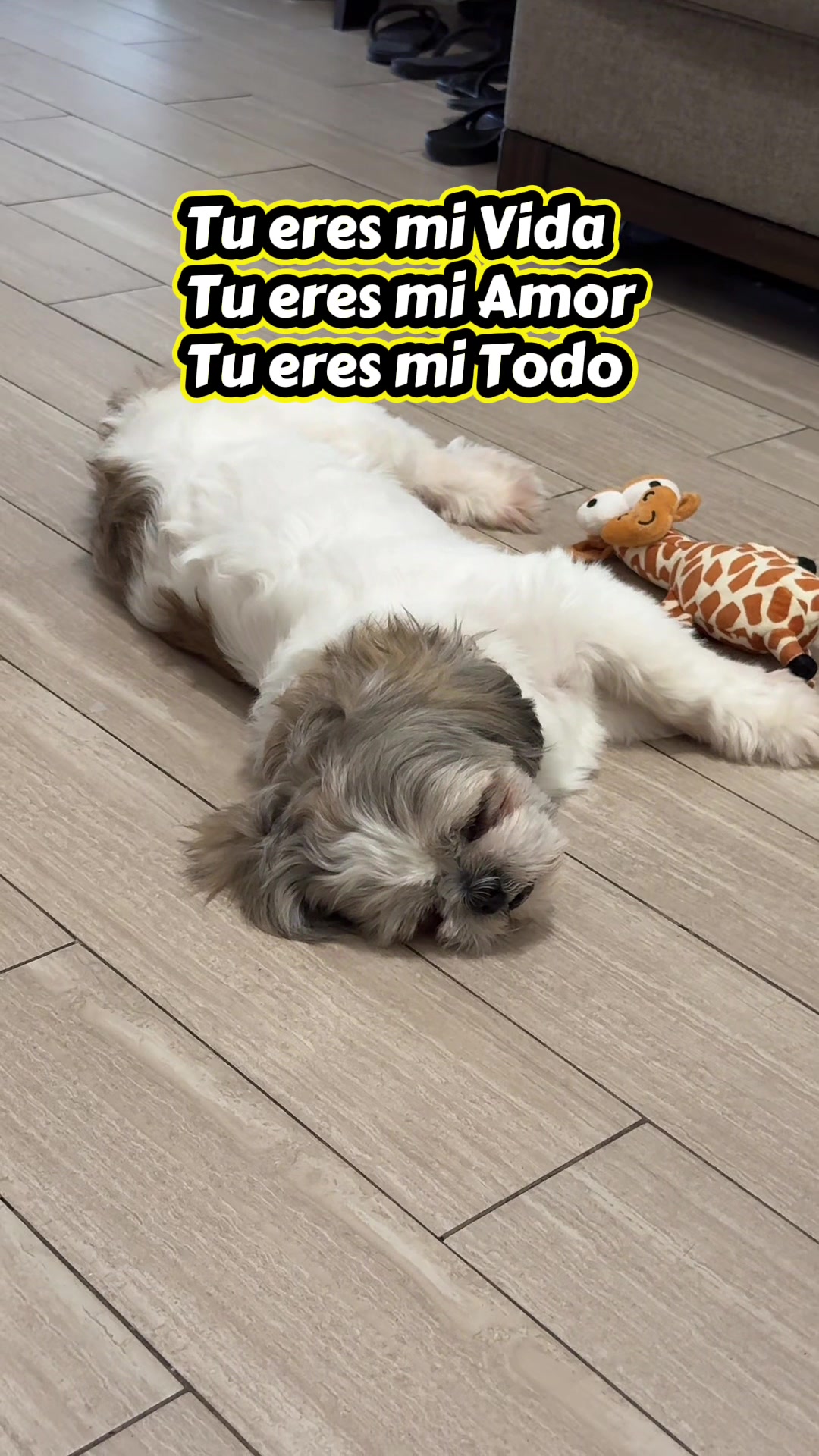 @Sonia