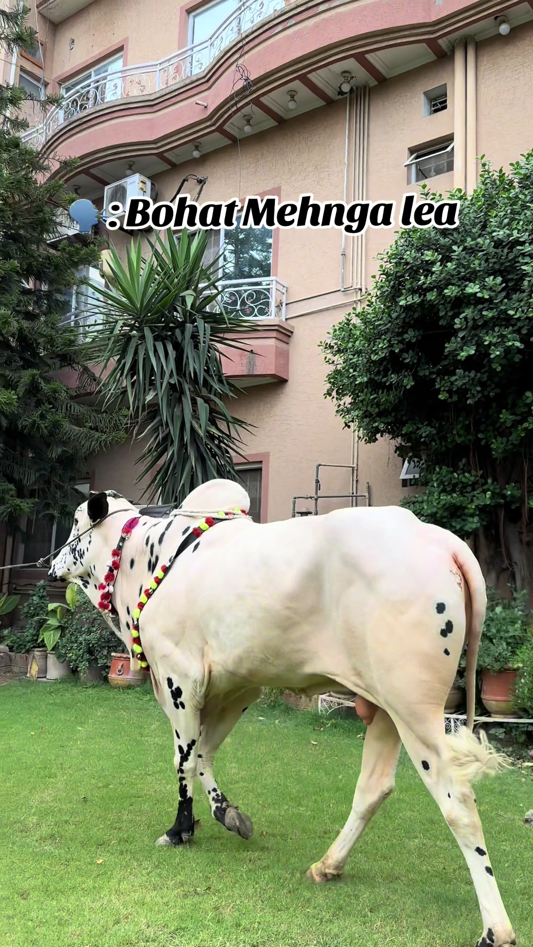 @ملک کہیان