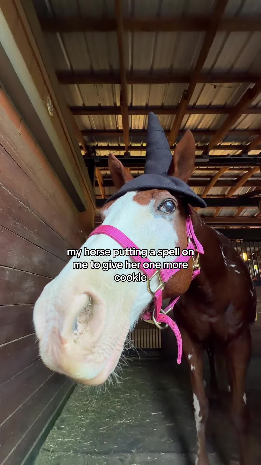 @Clara