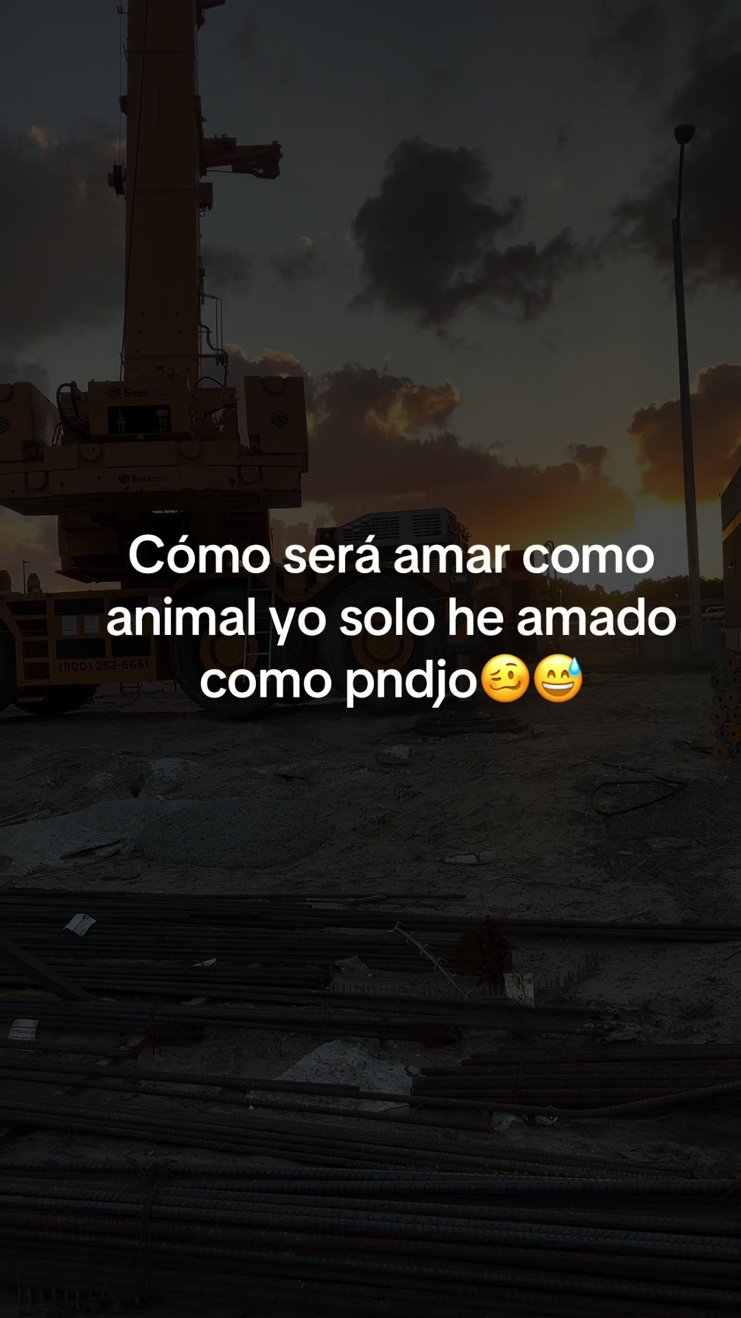 @️ NELFI__V❤️🩹)”