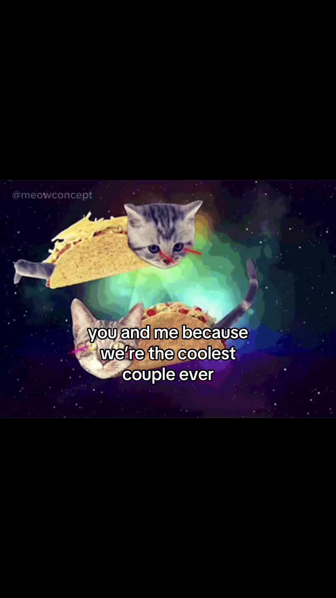@meowconcept