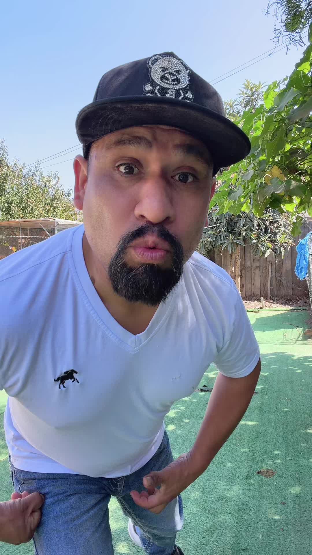 @SOPASPERICO🦜