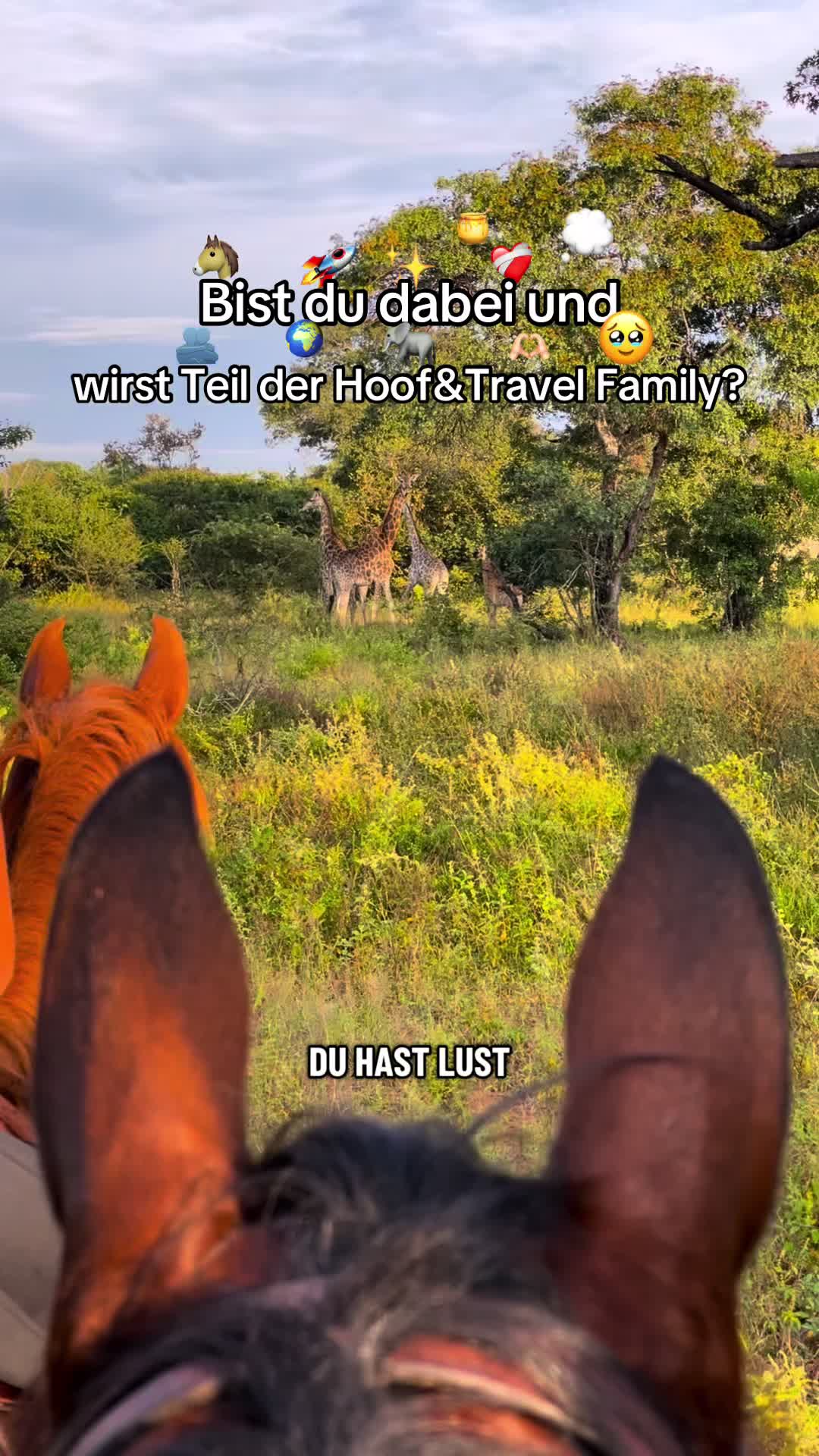 @Hoof & Travel 🐴🌍🐘