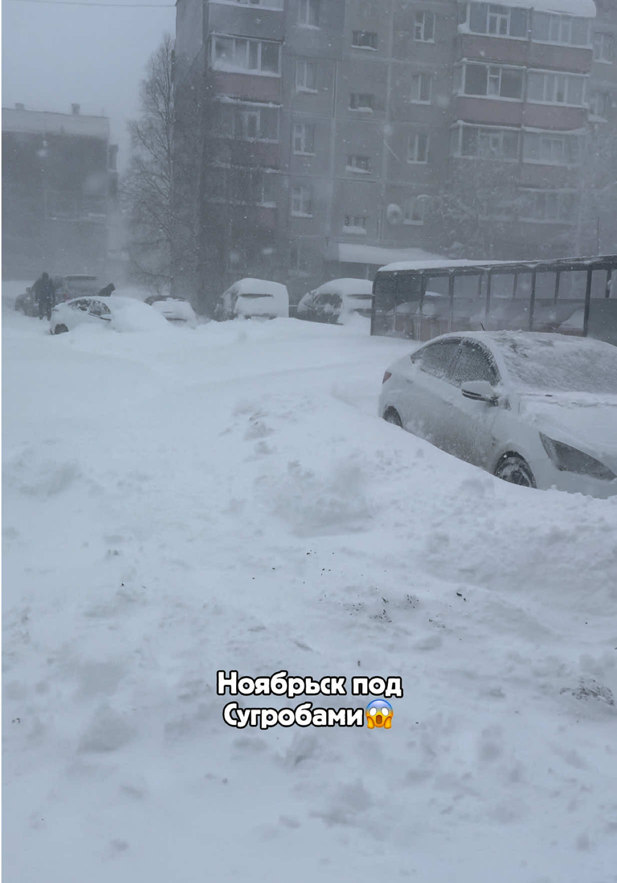 @тгк УГАРНЫЙ⚡ВАНЯ