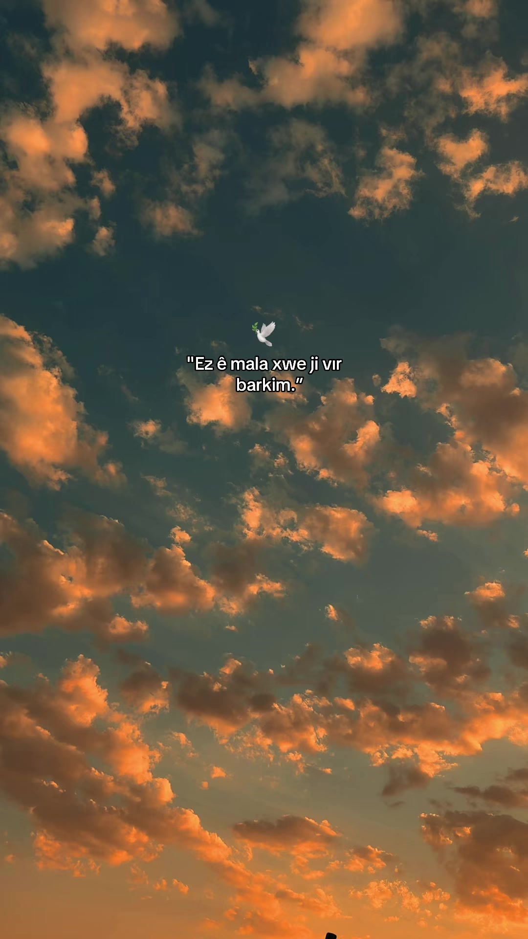 @𝓞𝓷𝓼𝓮𝓴𝓲𝔃𝓪𝓻𝓪𝓵ı𝓴