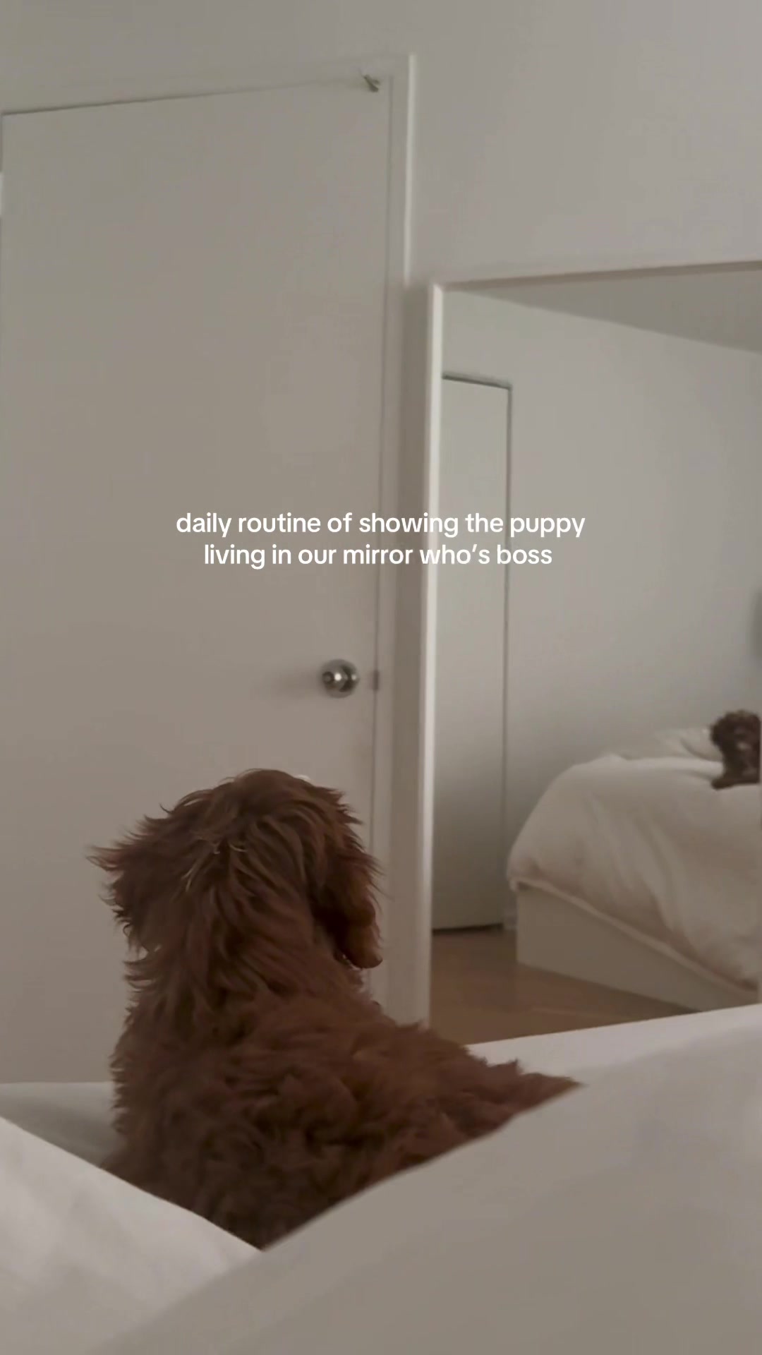 @lennie 🐶